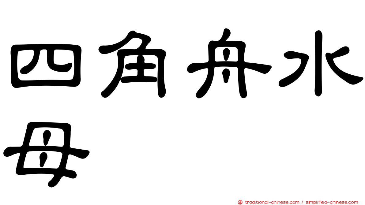 四角舟水母