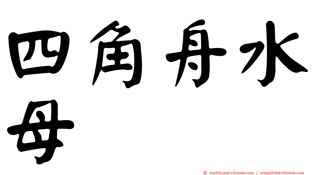 四角舟水母