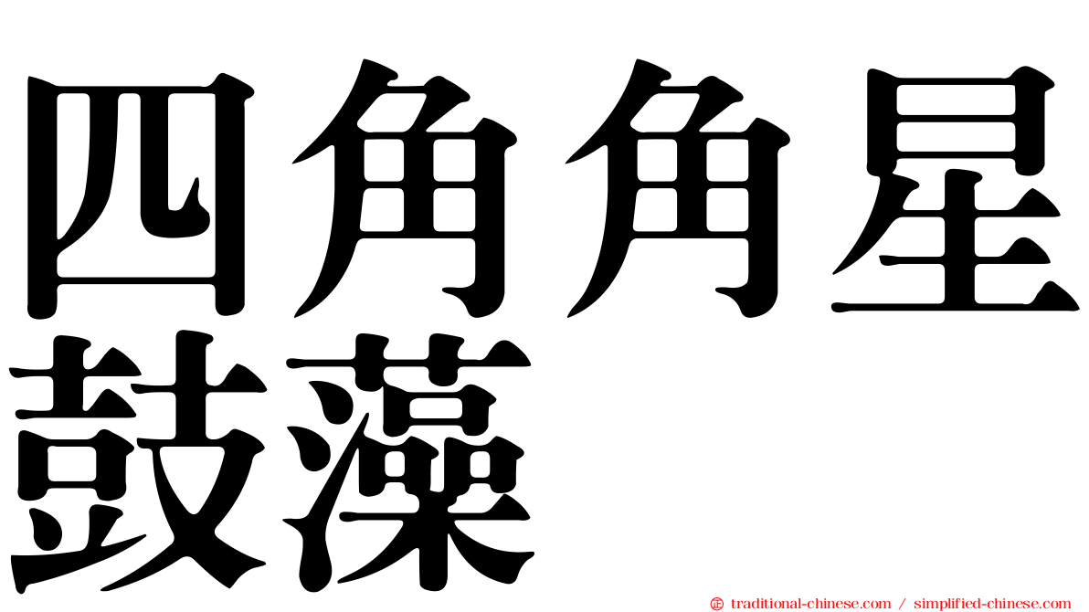 四角角星鼓藻