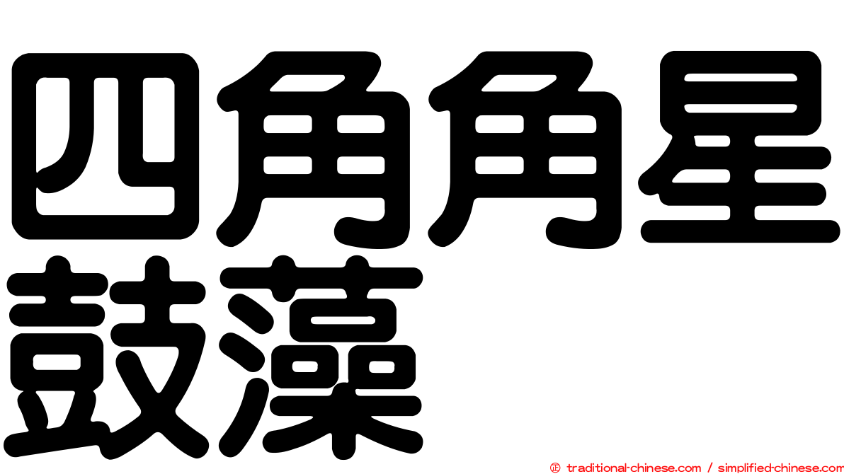 四角角星鼓藻