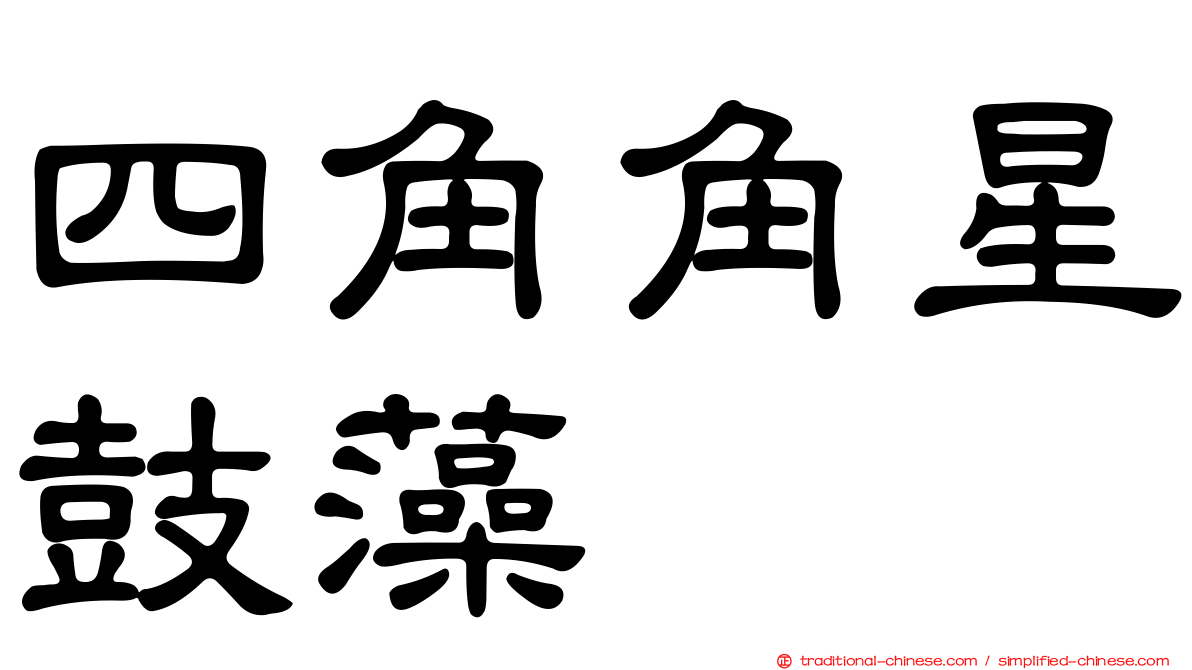 四角角星鼓藻