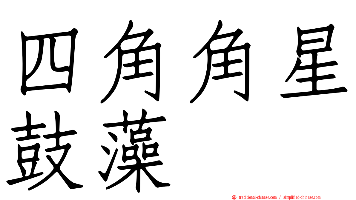 四角角星鼓藻