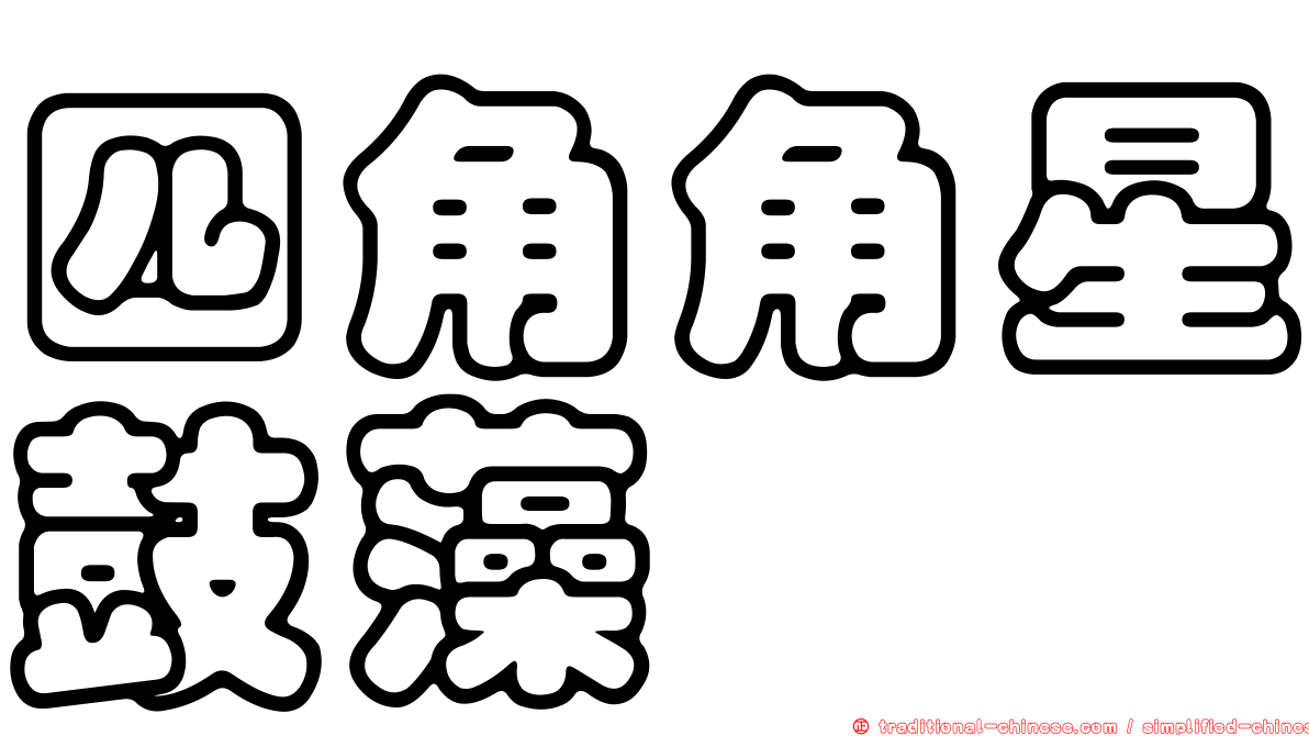 四角角星鼓藻