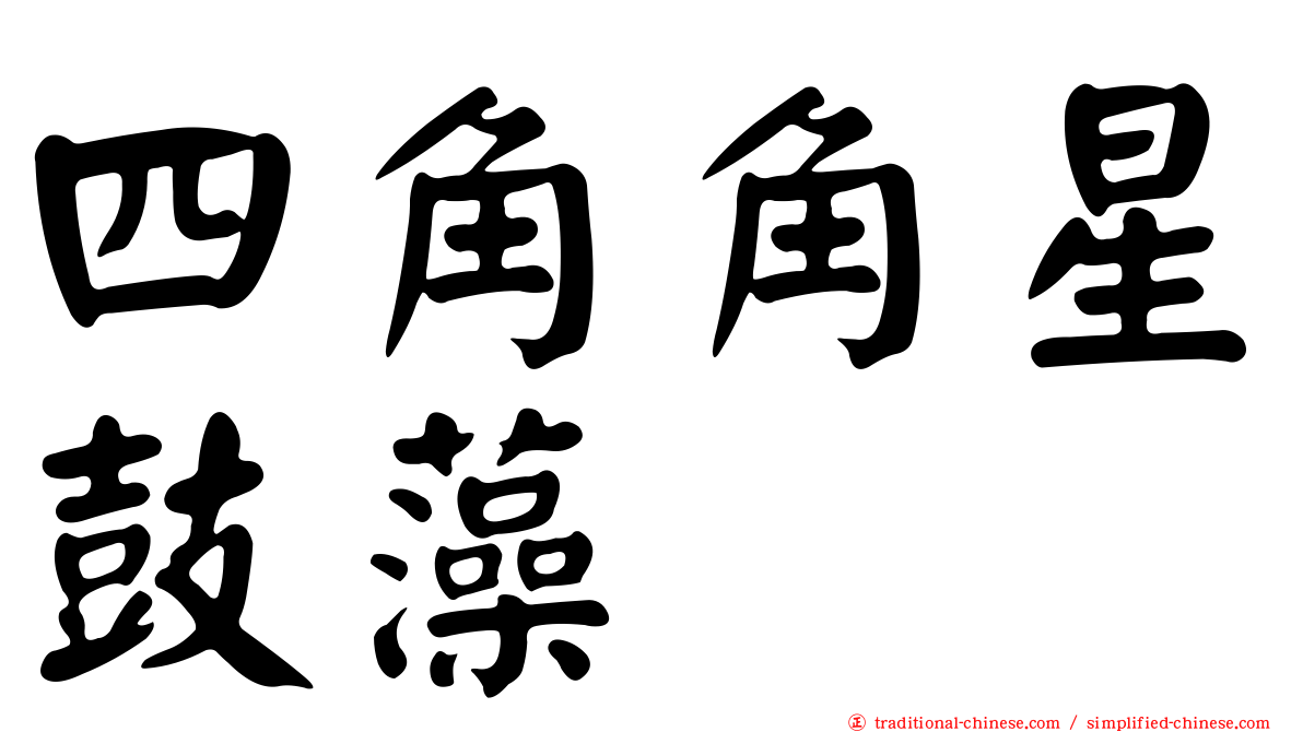 四角角星鼓藻