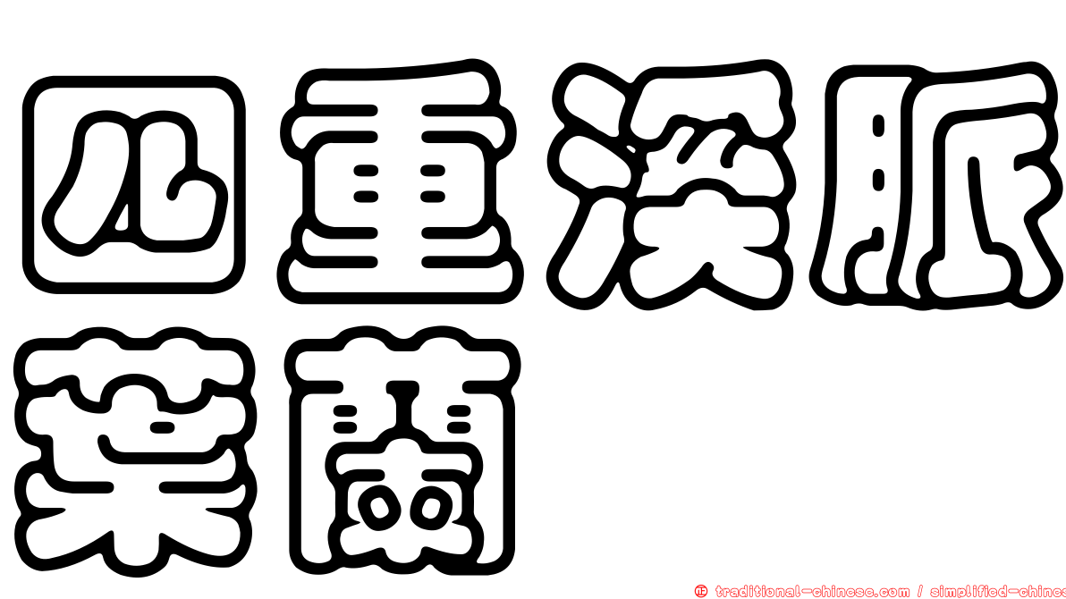 四重溪脈葉蘭