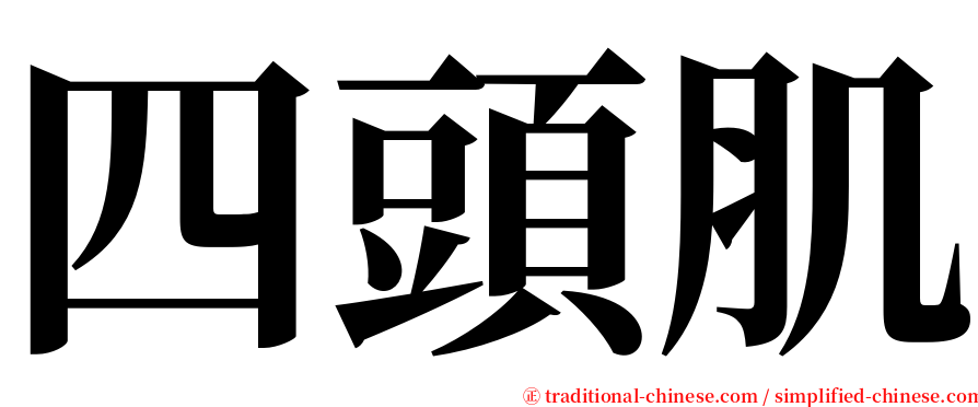 四頭肌 serif font
