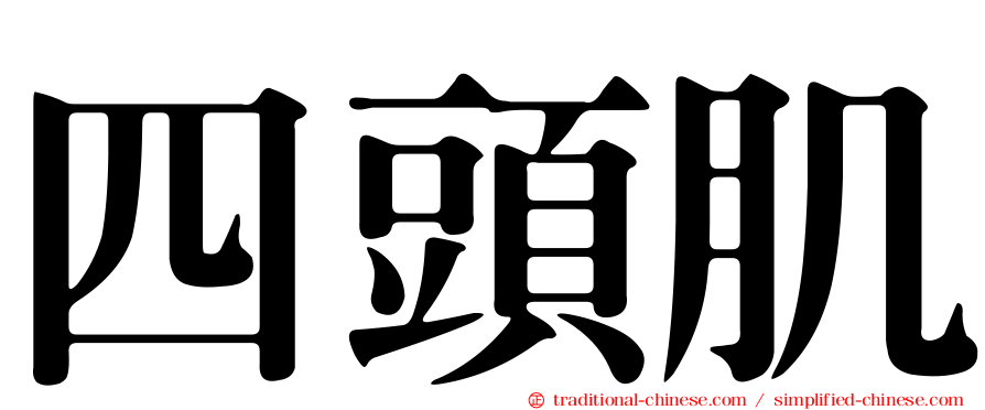 四頭肌