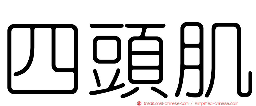 四頭肌