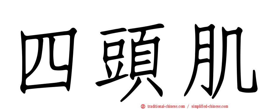 四頭肌