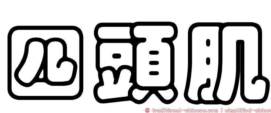 四頭肌
