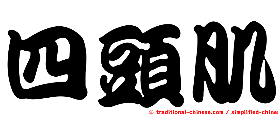 四頭肌