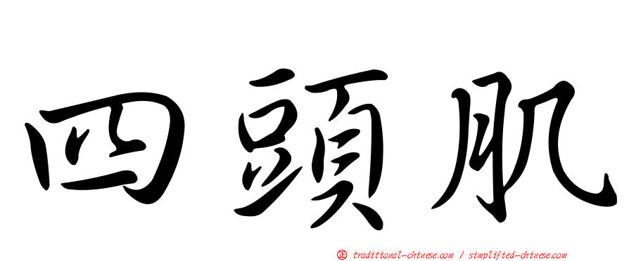 四頭肌