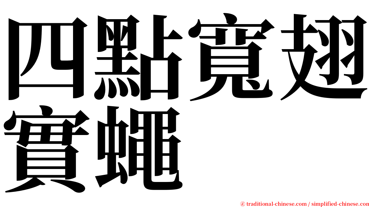 四點寬翅實蠅 serif font