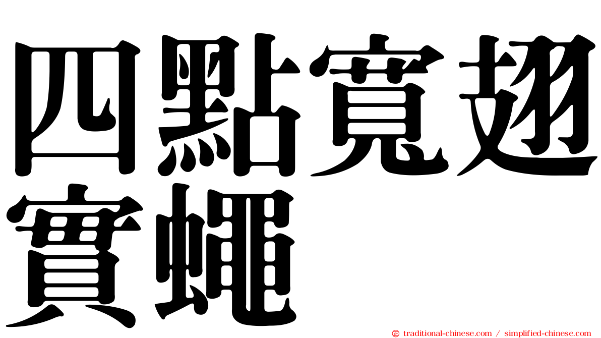 四點寬翅實蠅