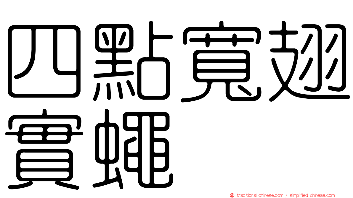 四點寬翅實蠅
