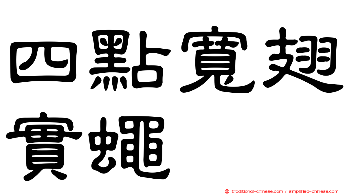 四點寬翅實蠅