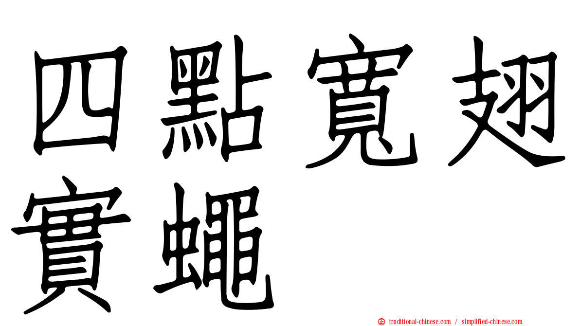 四點寬翅實蠅
