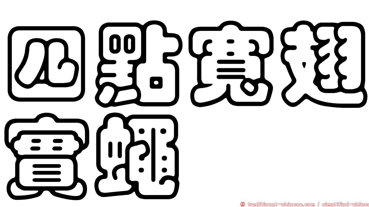 四點寬翅實蠅
