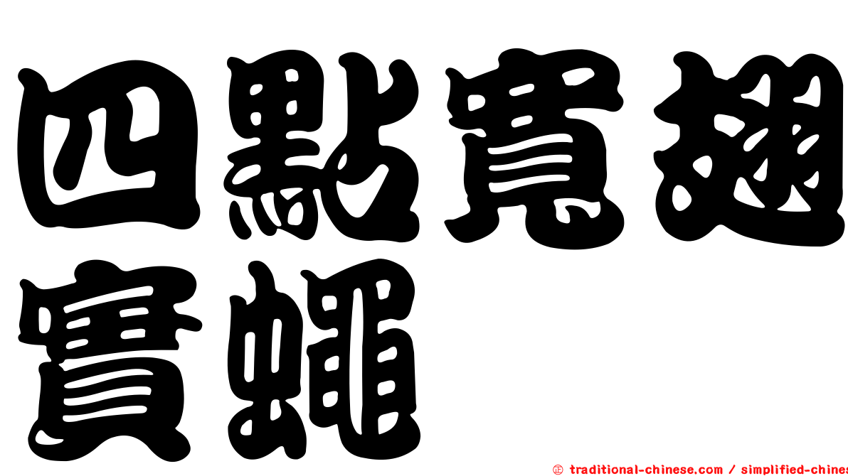 四點寬翅實蠅