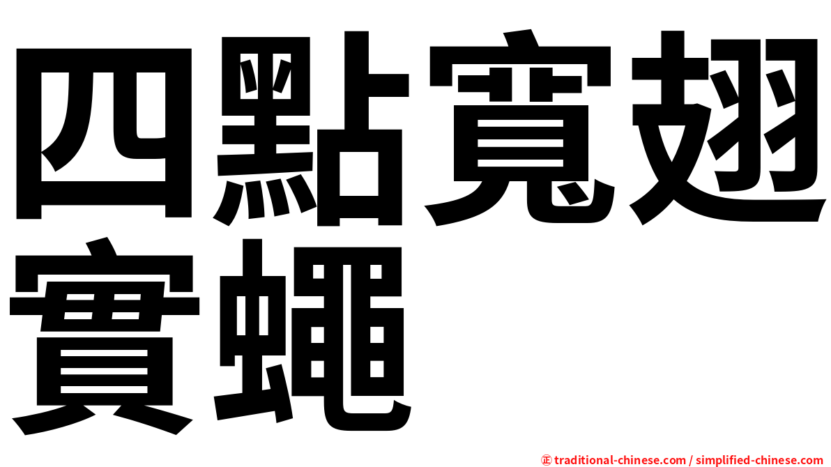 四點寬翅實蠅