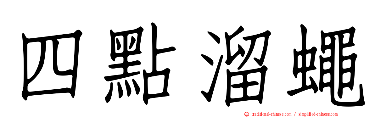 四點溜蠅