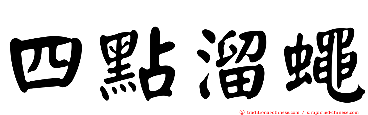 四點溜蠅