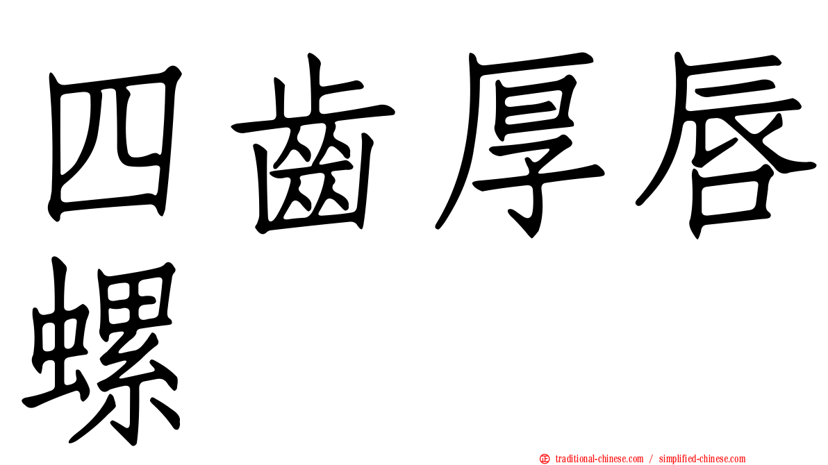 四齒厚唇螺
