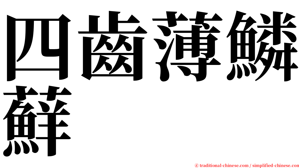 四齒薄鱗蘚 serif font