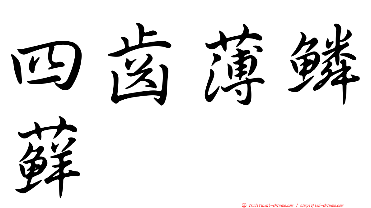 四齒薄鱗蘚