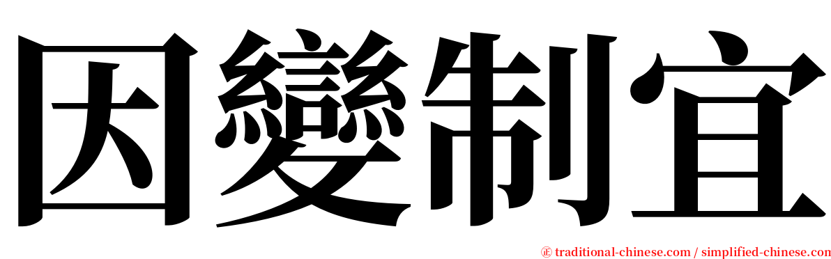 因變制宜 serif font