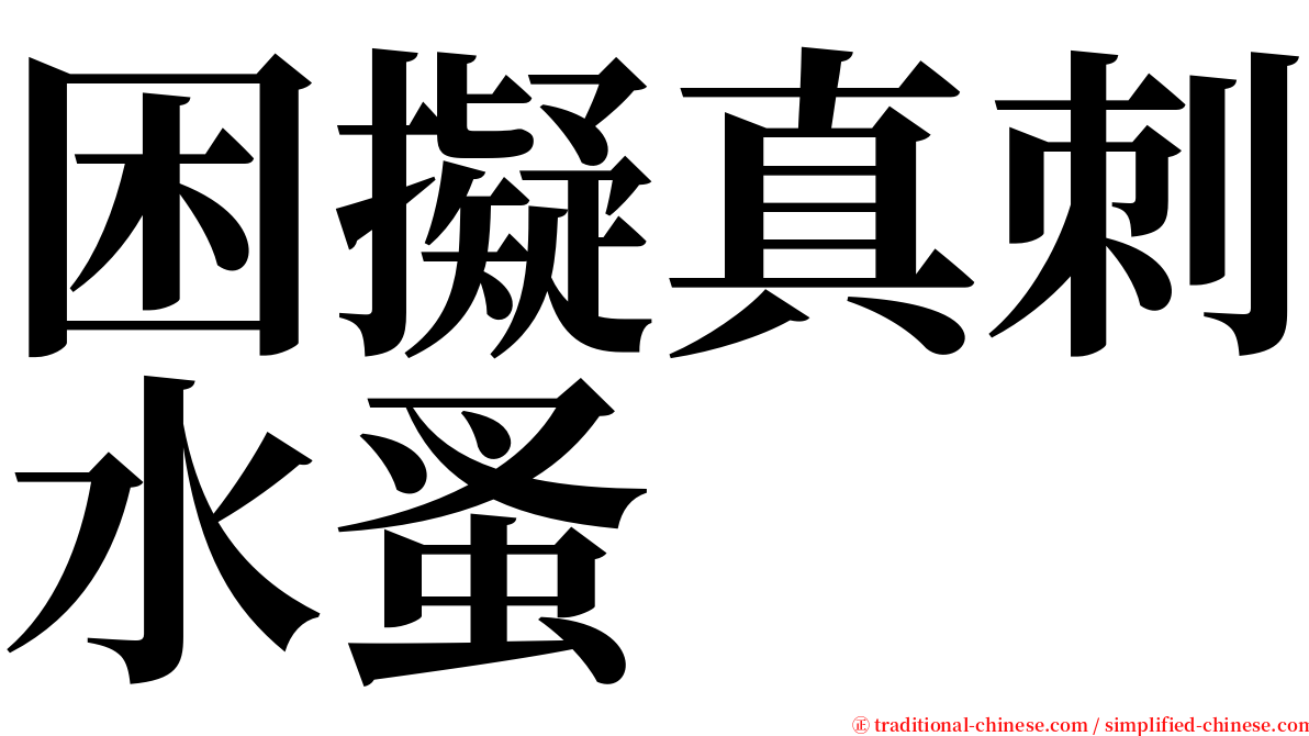 困擬真刺水蚤 serif font
