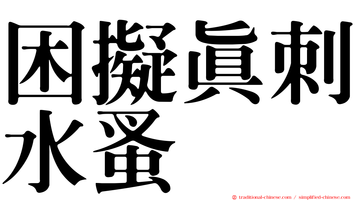 困擬真刺水蚤