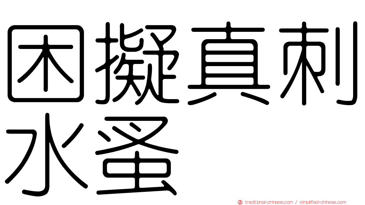困擬真刺水蚤