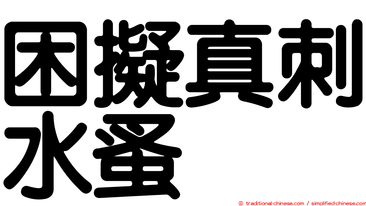 困擬真刺水蚤