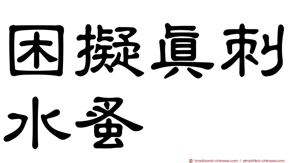 困擬真刺水蚤