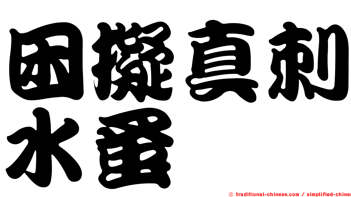 困擬真刺水蚤