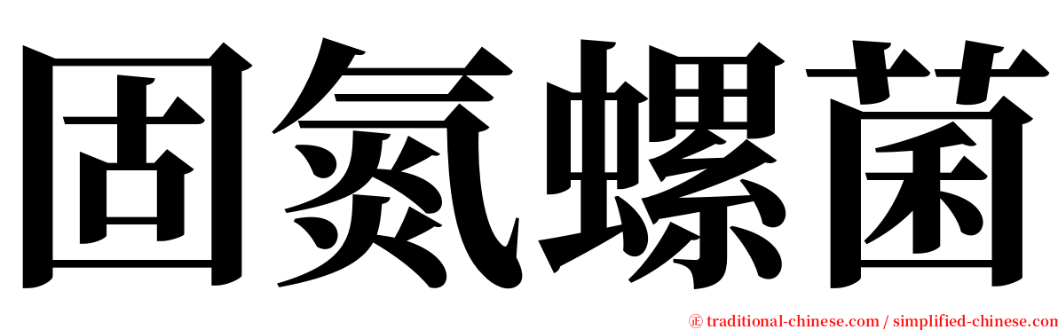 固氮螺菌 serif font