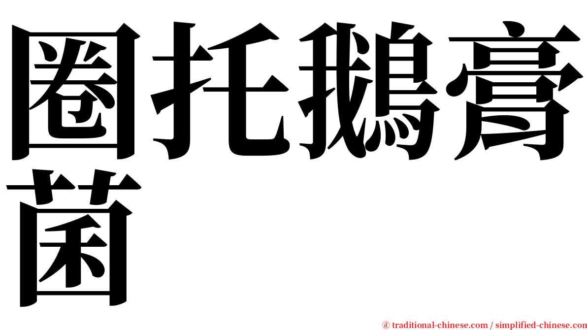 圈托鵝膏菌 serif font