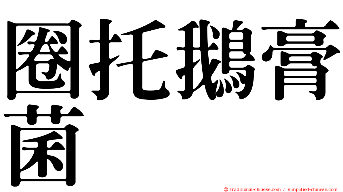 圈托鵝膏菌