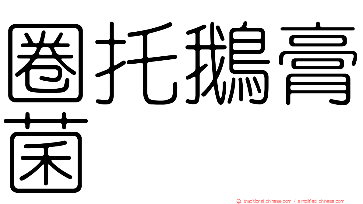 圈托鵝膏菌