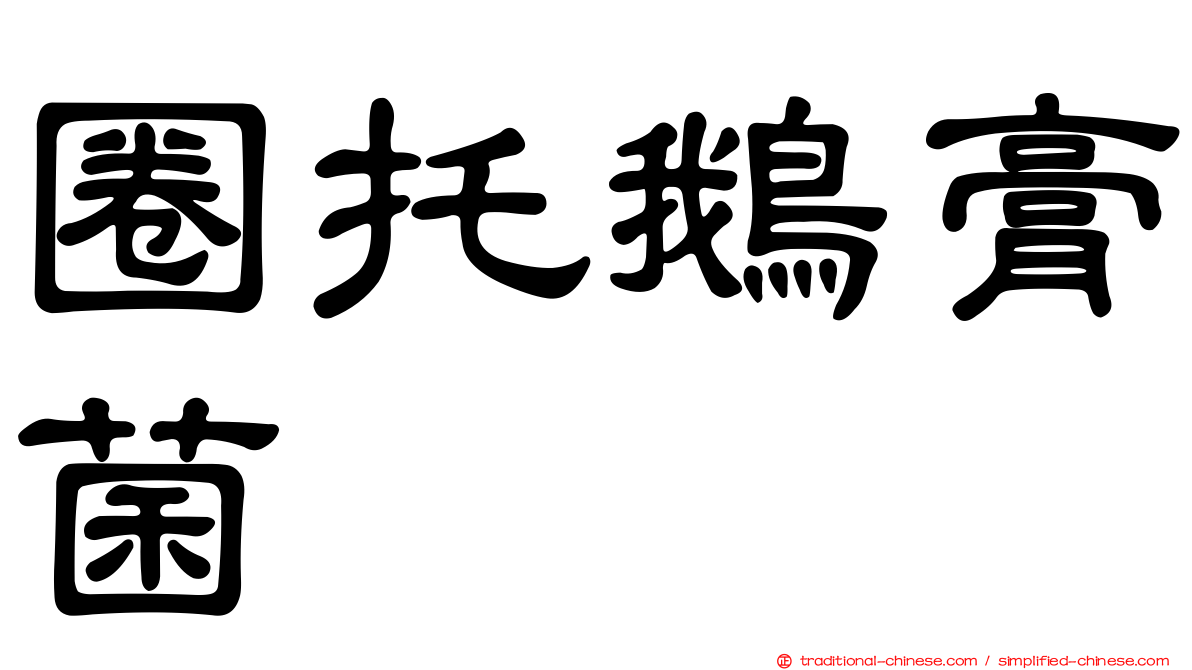 圈托鵝膏菌