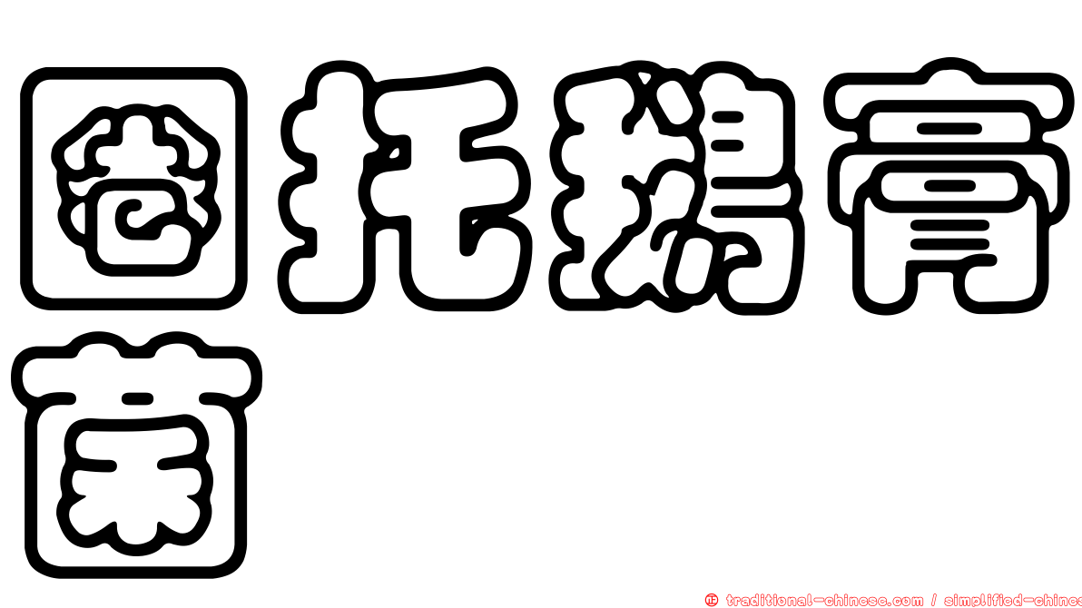 圈托鵝膏菌