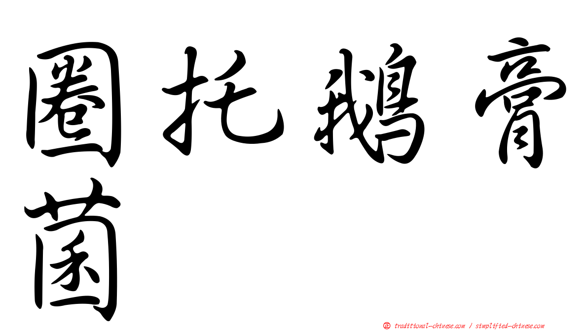 圈托鵝膏菌
