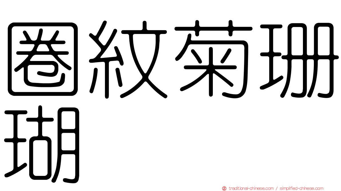 圈紋菊珊瑚