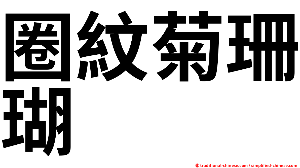 圈紋菊珊瑚