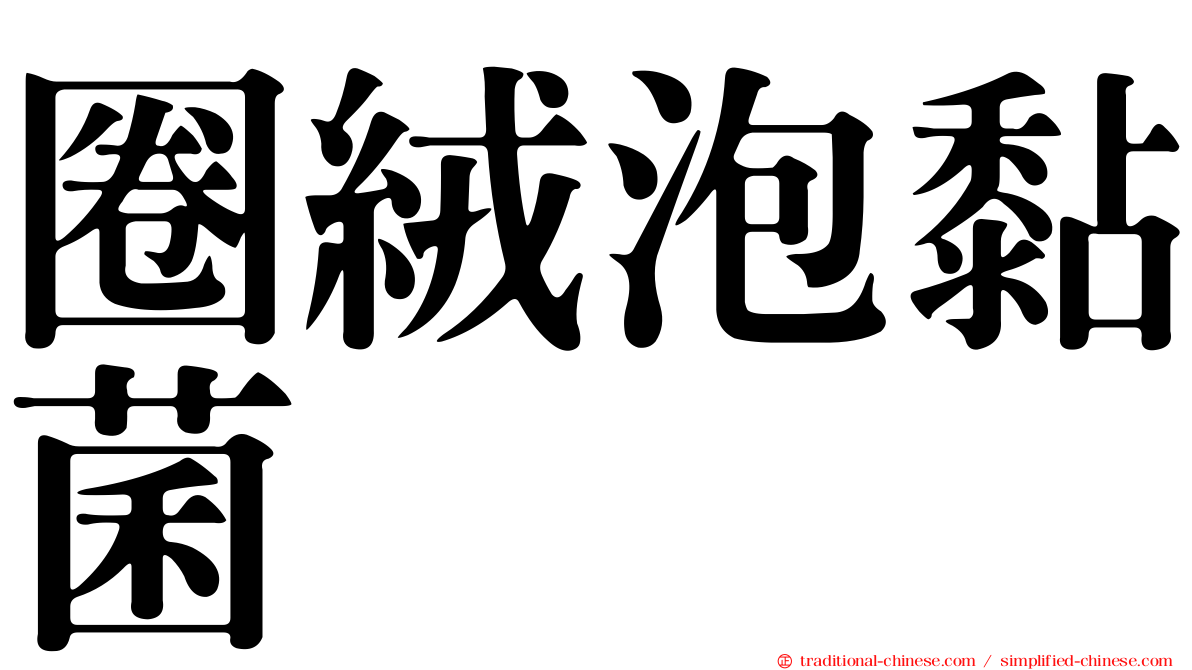 圈絨泡黏菌