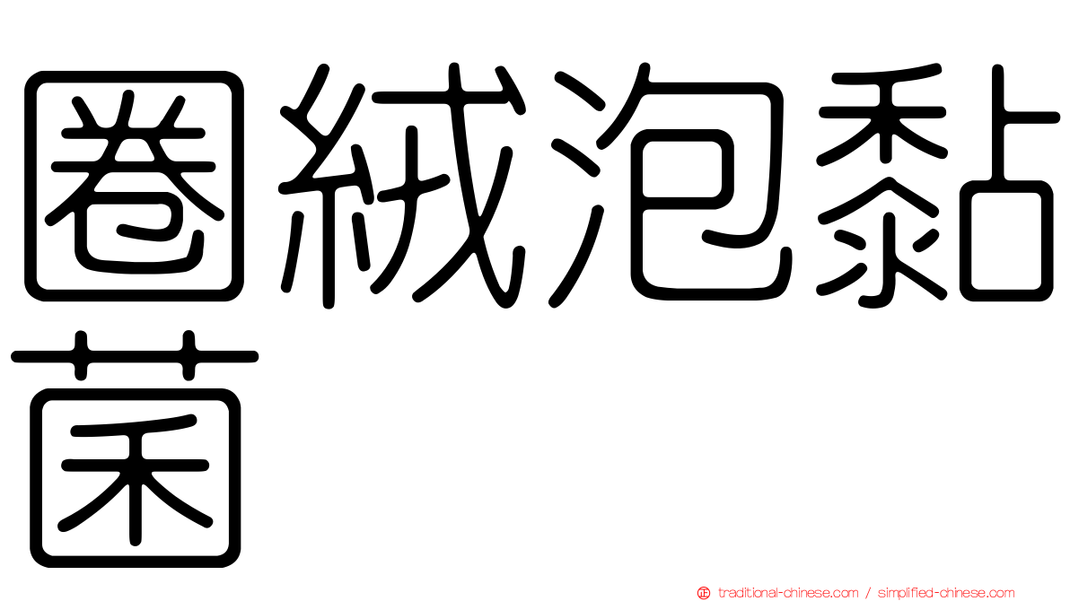 圈絨泡黏菌