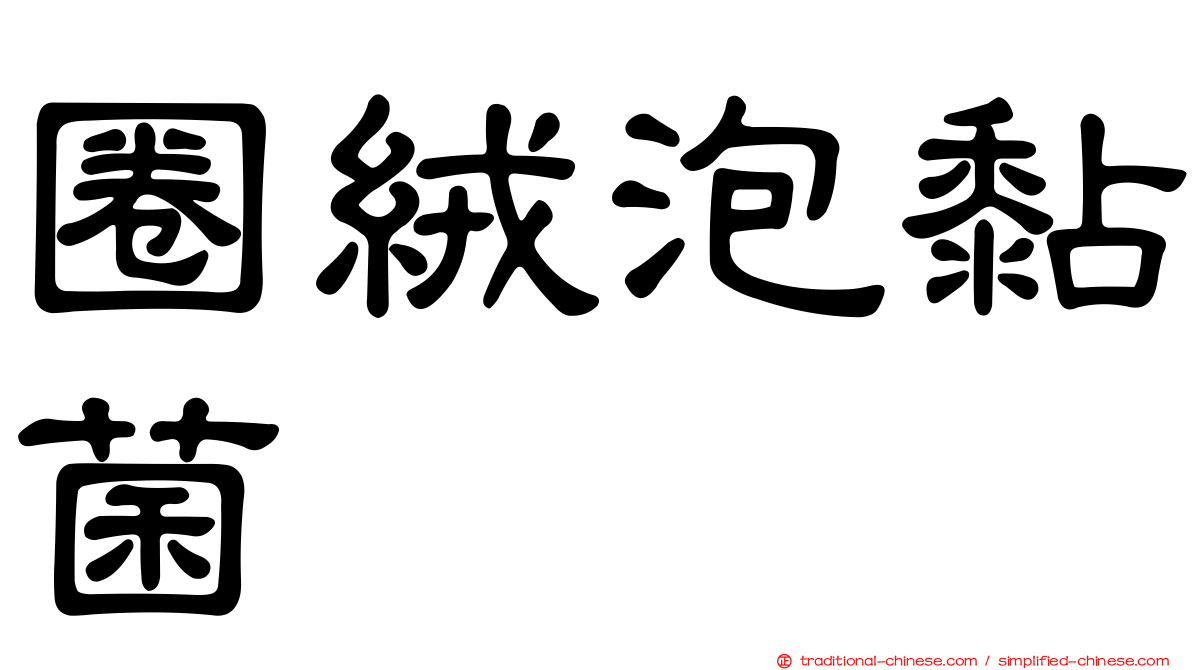 圈絨泡黏菌