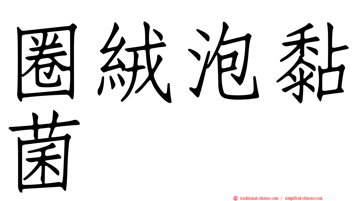 圈絨泡黏菌