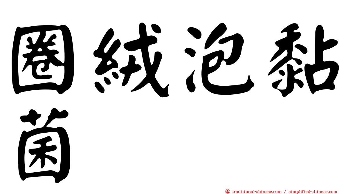 圈絨泡黏菌